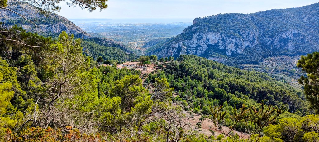 Vista panorámica que se observa desde el Mirador d’Es Mirabó, rodeado de montañas y vegetación densa, con campos cultivados al fondo.