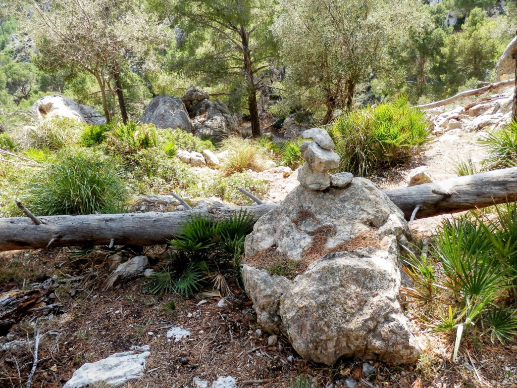 Sendero en un bosque de pinos con rocas y vegetación, destacando un hito de piedras sobre una roca.