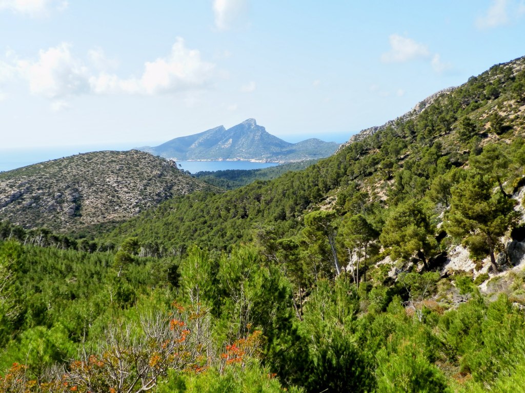Vista panorámica del paisaje montañoso con vegetación densa, donde se puede observar la isla Dragonera y el mar al fondo.