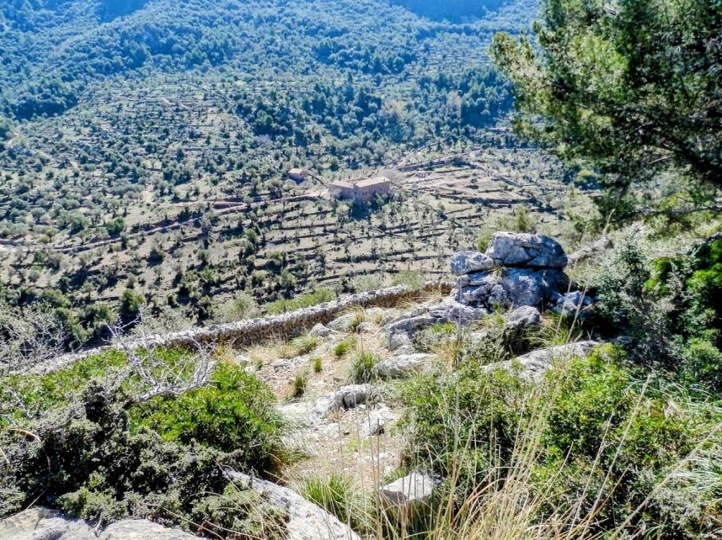 BALITX D’AVALL por la Tanca des&nbsp;Bous