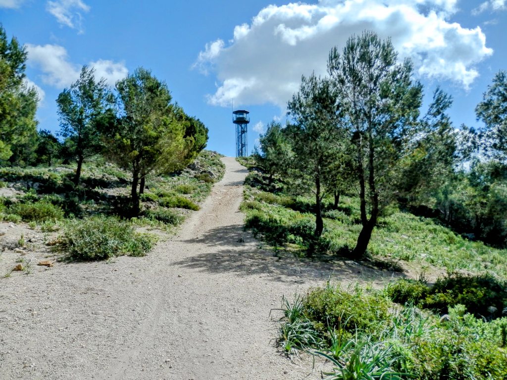 PI DE SES CREUS y PEDRERES DE NA DALMAU desde Costa d’en&nbsp;Blanes