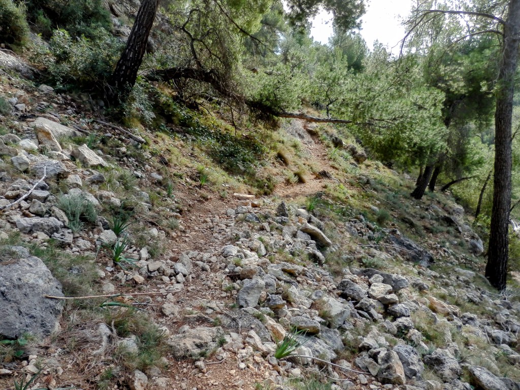 Sendero rocky y herboso en la Sierra de Na Burguesa, rodeado de árboles y vegetación, utilizado para el ascenso al Puig Gros de Bendinat.