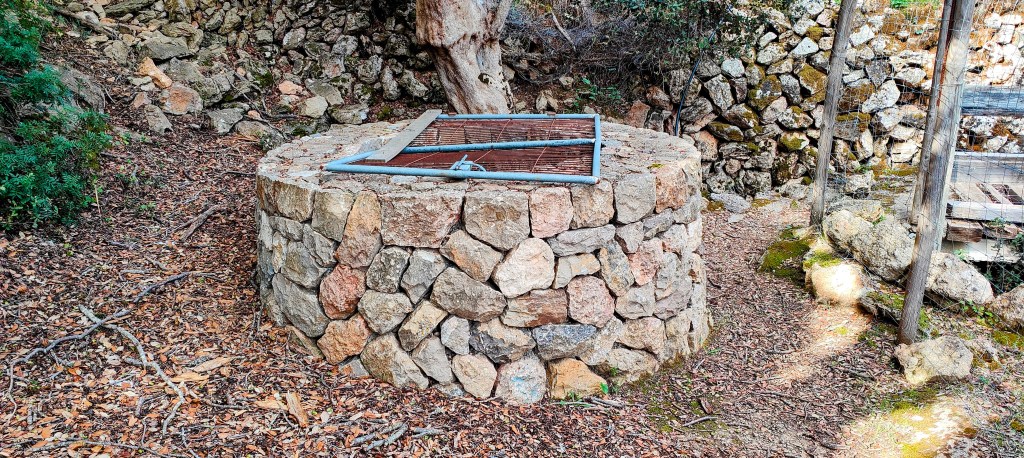 Vista de un aljibe de piedra de forma circular, con una tapa de metal en la parte superior, ubicado en un entorno natural con vegetación y terreno cubierto de hojas secas.