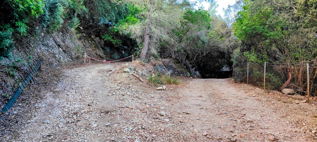 Cruzamiento de caminos en una ruta de senderismo, con un camino de tierra que se bifurca hacia la izquierda y un camino cubierto de árboles a la derecha.