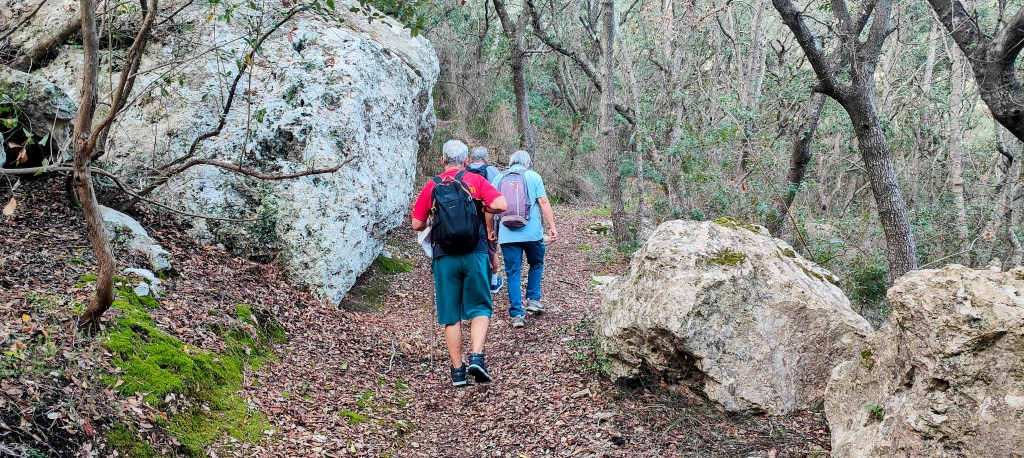 Tres personas caminando por un sendero en un bosque, rodeadas de rocas y vegetación. El camino es estrecho y está cubierto de hojas secas.