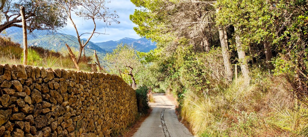 Camino rodeado de arbustos y árboles, con una pared de piedra a un lado y montañas al fondo, en una ruta de senderismo por la zona de Esporles.