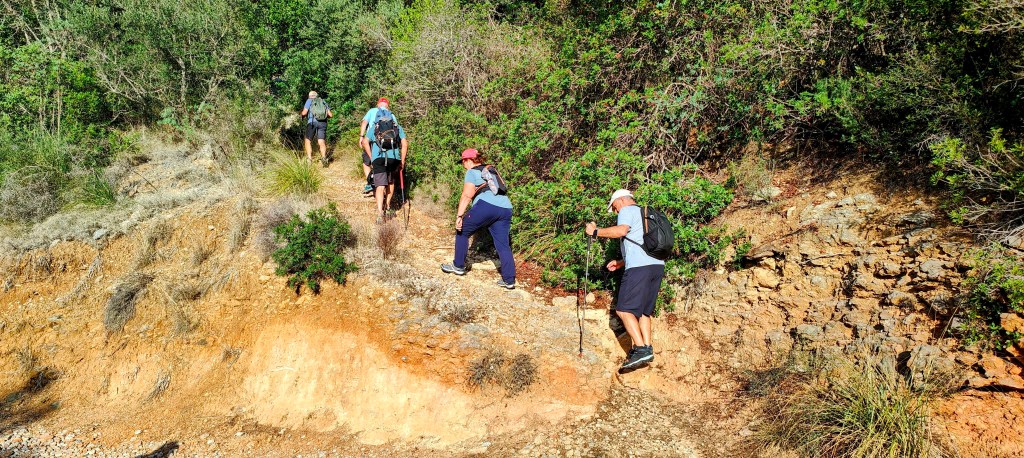 Grupo de senderistas caminando por el Camí Vell de Biniarroi rodeado de vegetación exuberante.