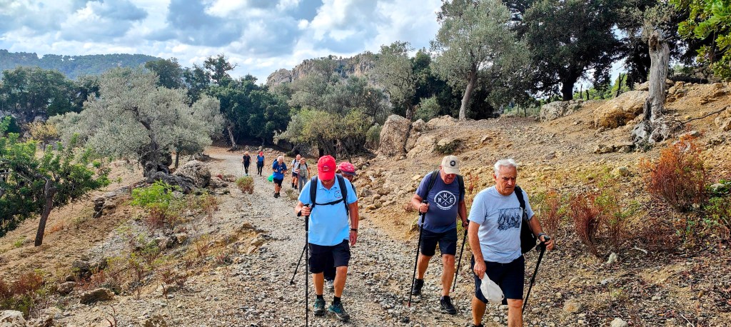 Grupo de senderistas caminando por el Camí de Ses Cases Noves, un sendero de montaña rodeado de vegetación, con árboles y rocas en el paisaje.