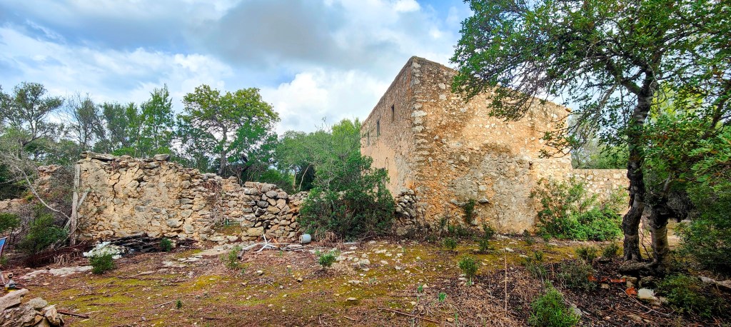 Ruinas de Son Mascord Vell rodeadas de vegetación en un paisaje natural.