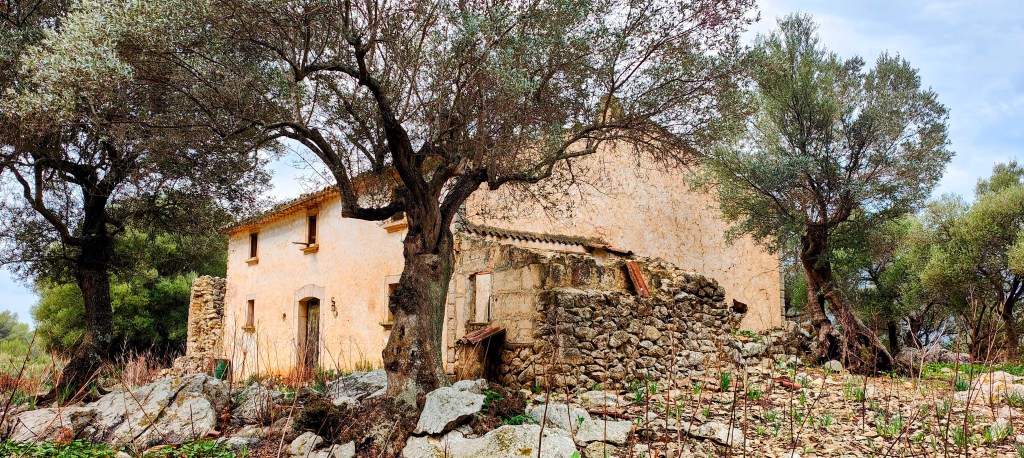 Vista de una casa rústica con paredes de piedra y un tejado de tejas, rodeada de olivos y vegetación en un paisaje rural.