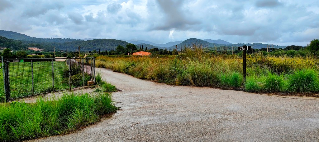 Camí de Son Alegre y campos verdes en la ruta hacia el Oratorio de Son Mascord, con montañas al fondo bajo un cielo nublado.