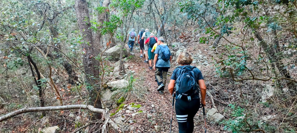 Grupo de senderistas caminando por un estrecho sendero forestal, rodeados de árboles y vegetación densa.