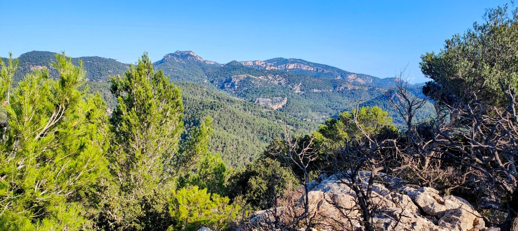 Vista panorámica desde la cima del Penyal de Sa Mola, mostrando una variedad de vegetación y montañas en el horizonte bajo un cielo despejado.