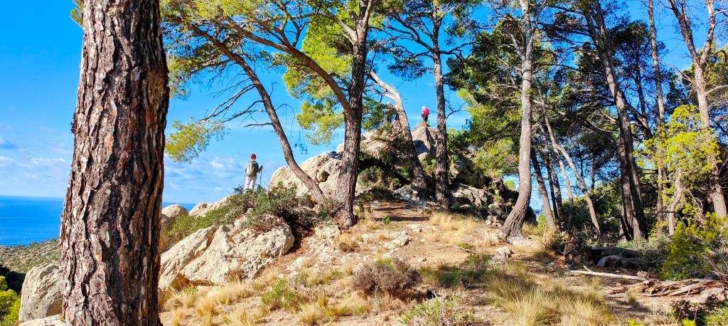 Vista de senderistas en un paisaje montañoso con pinos y rocas, cerca de la cima de una montaña, en la Serra de Tramuntana.