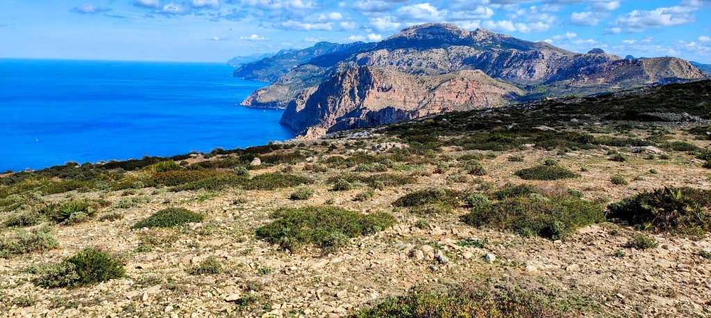 Panorama del mar Mediterráneo y la costa de Mallorca desde una cima de montaña, con vegetación baja y rocas en primer plano.