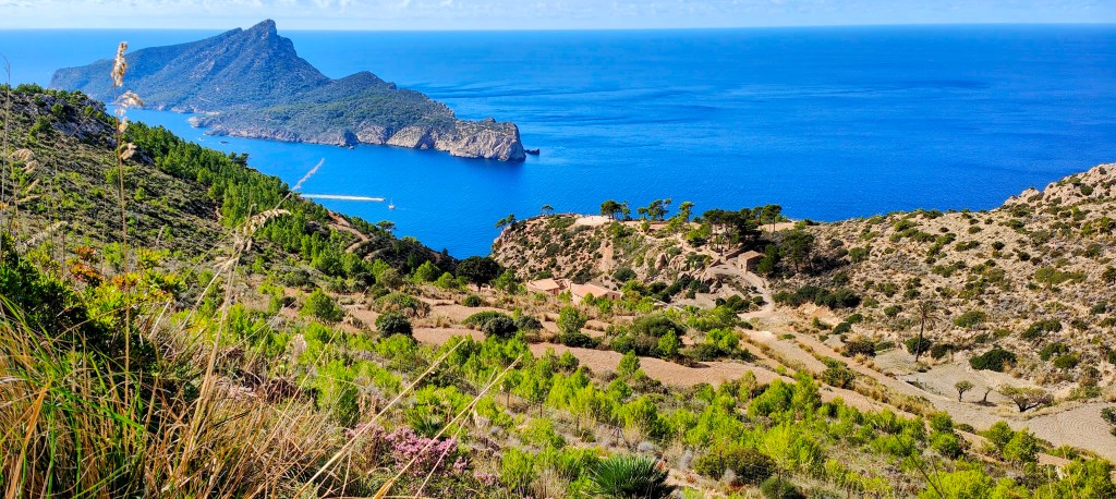 Vista panorámica del mar Mediterráneo con acantilados y vegetación en la costa de Mallorca, destacando la isla de La Dragonera en el fondo.