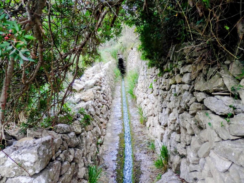Font de l’Assarell rodeada de muros de piedra, con agua fluyendo por el centro, que se adentra entre vegetación densa.