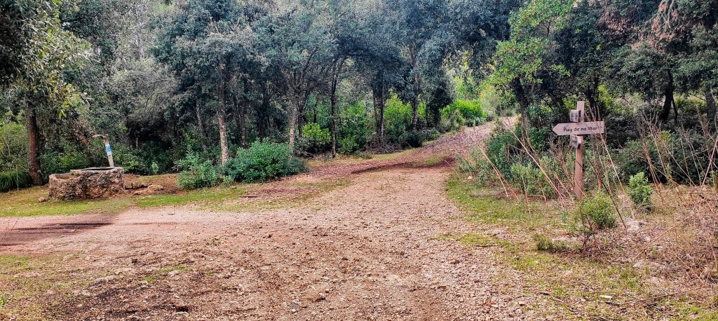 Cruce de caminos en un sendero forestal con vegetación densa, señalización hacia Puig de na Marit y un pozo de piedra visible a la izquierda.