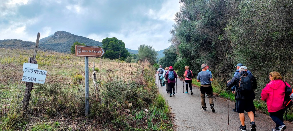 Grupo de senderistas caminando por un camino señalizado hacia el Cami de Calicant, con vegetación y montañas al fondo.