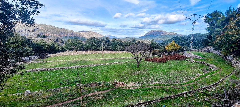 Vista panorámica de un paisaje montañoso en Mallorca, con un campo verde rodeado de paredes de piedra seca y árboles dispersos bajo un cielo nublado.