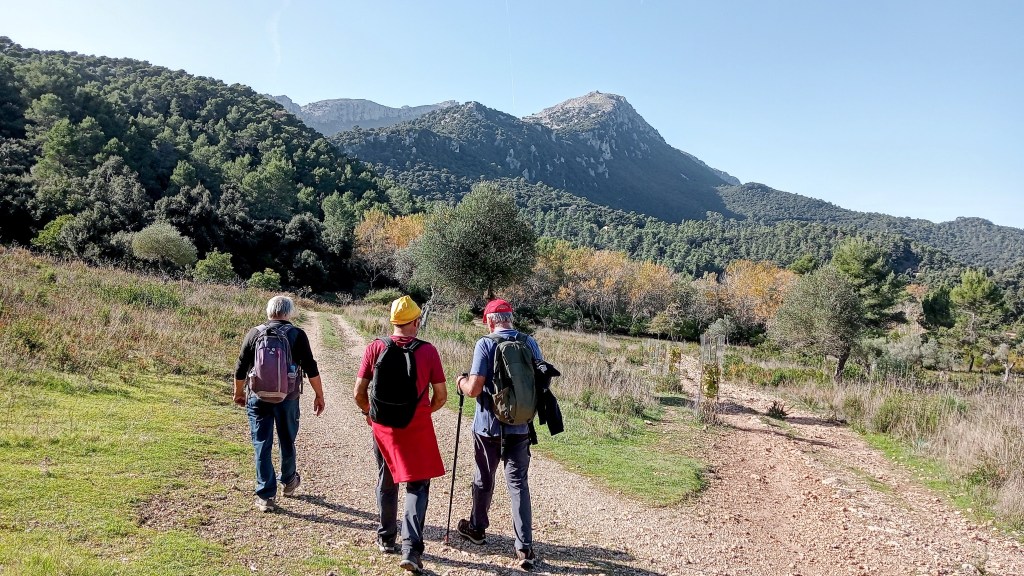 PUIG DE SES COVASSES desde el Coll de Sa&nbsp;Batalla