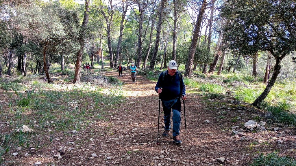 Un grupo de personas caminando por Sa Plana Forana en un bosque mediterráneo, rodeado de árboles y vegetación.