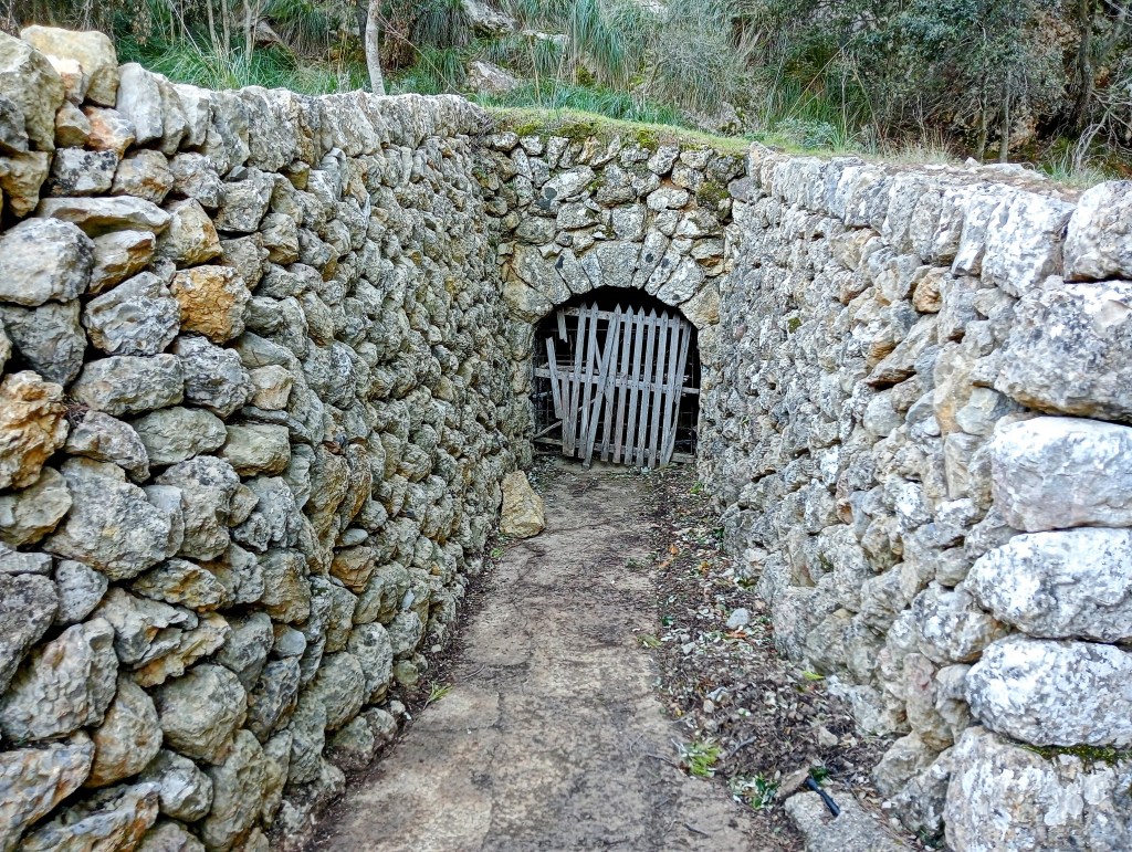 Entrada a la Font de Na Bàrbara con pared de piedra y una reja de madera en el fondo, rodeada de vegetación.