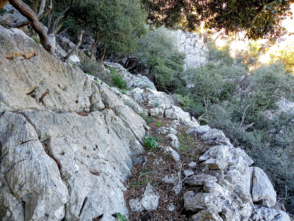 Sendero rocoso en el Camino del Comellar des Rafalet, rodeado de vegetación típica mediterránea.