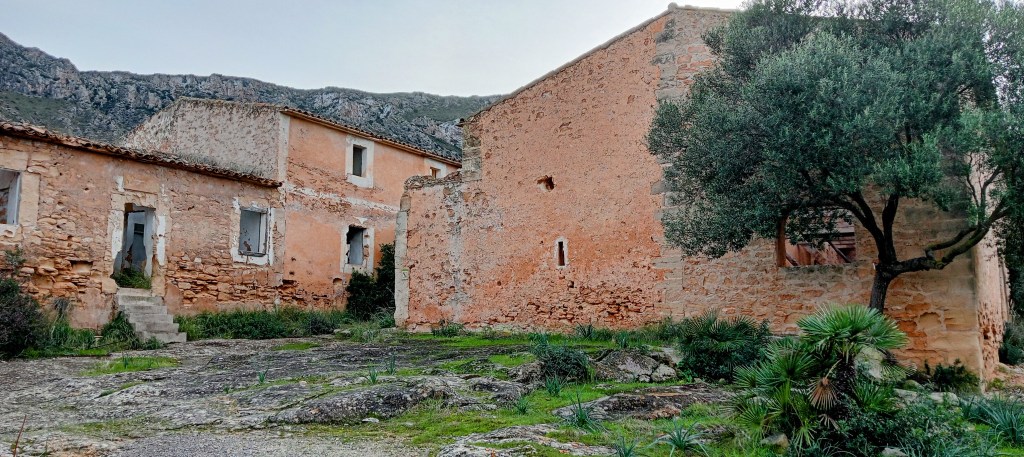 Ruinas de las Casas de Betlem (Can Viçent), con paredes de piedra y vegetación circundante.