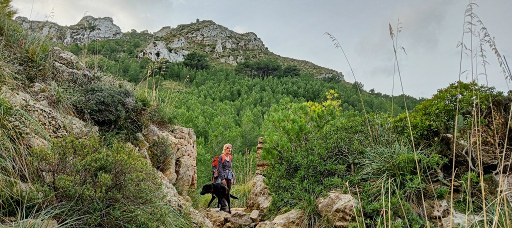 Persona caminando por un sendero montañoso rodeado de vegetación, con un perro negro junto a ella, mientras se aprecian roca y árboles en el fondo.