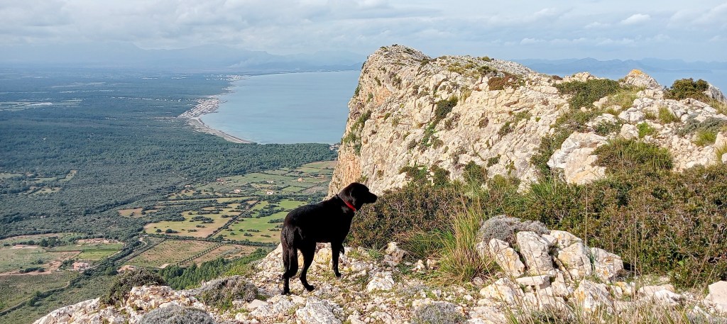 BEC DE FERRUTX desde la urbanización de&nbsp;Betlem