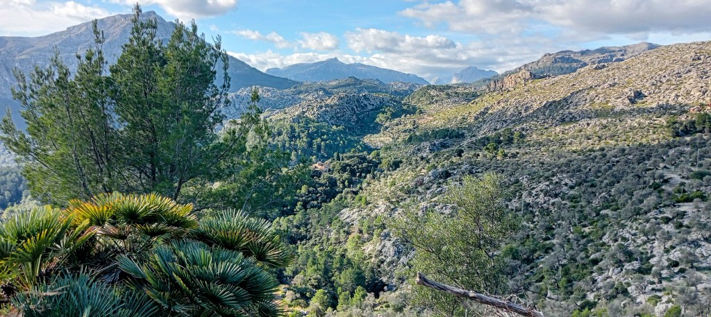 Vista panorámica con las casas de Pedruxella Granal fondo, con vegetación densa y montañas al fondo, ideal para senderismo.