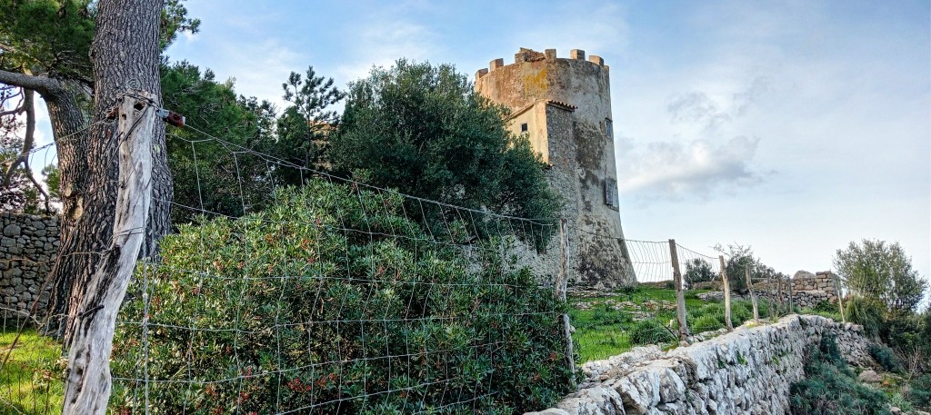 Vista de la Torre d'Ariant, una antigua torre de defensa construida en 1622, rodeada de vegetación y un paisaje natural.