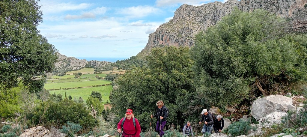 TORRE D’ARIANT desde Pollença