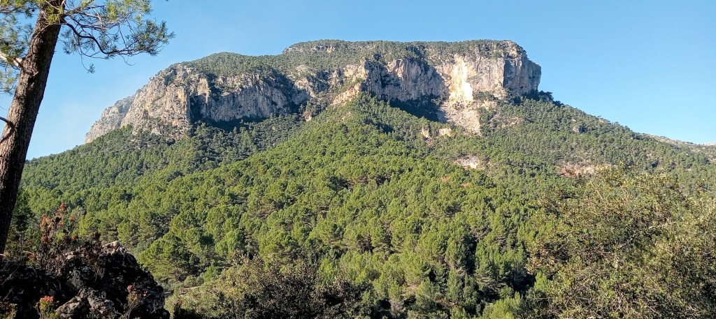 PUIG DE SA CREU desde Lloseta