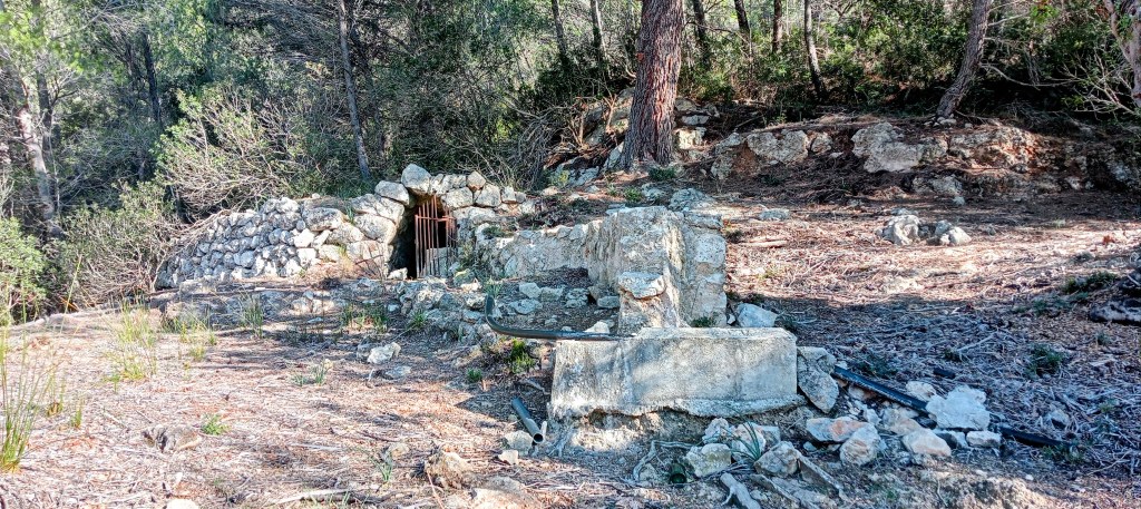 Fuente de mina con entrada de barrotes de hierro, rodeada de vegetación en un bosque. Al fondo, un pequeño muro de piedra.