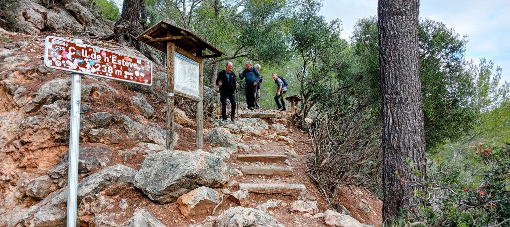 Grupo de excursionistas en el Coll de n'Esteve, con un cartel que indica la altitud de 238 m, rodeados de vegetación y senderos naturales.