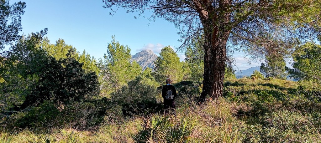 Persona de espaldas observando Puig de Galatzó visto desde el Puig de Sa Grua