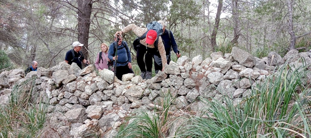 Grupo de senderistas cruzando un muro de piedras en un entorno boscoso durante la ruta 'Puig de sa Grua por el Penyal Roig'.