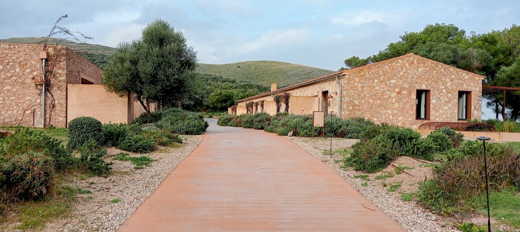 Ebungalows de Carrossa Hotel & Spa, rodeados de vegetación mediterránea y colinas en el fondo.
