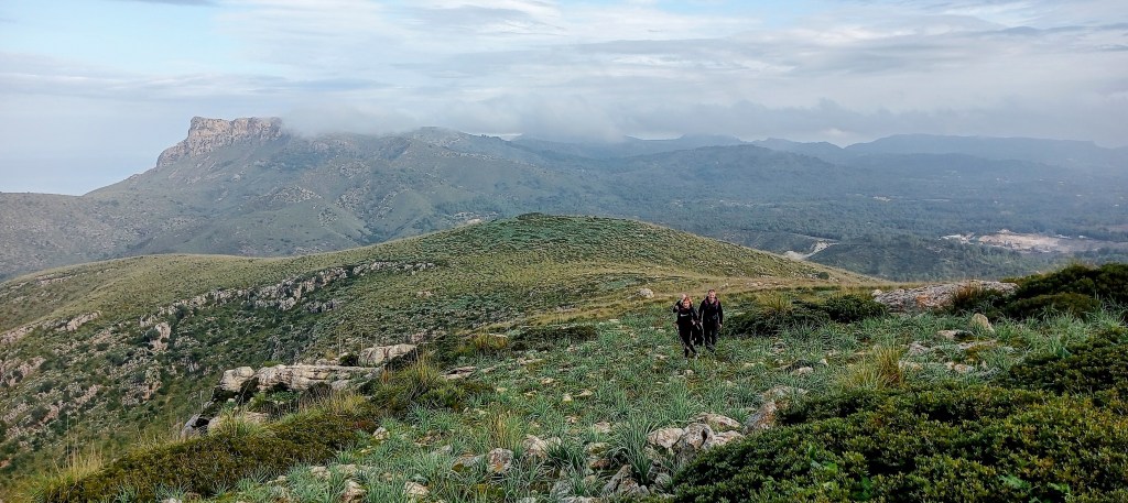 Vista panorámica de senderistas caminando sobre un terreno montañoso en la ruta Puig d'Alpare en Mallorca, con paisajes verdes y montañas de fondo.
