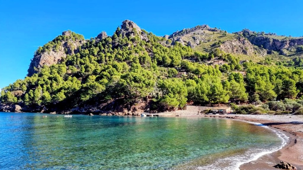 Vista de Cala Tuent, con una playa tranquila con agua cristalina y montañas verdes al fondo bajo un cielo azul despejado.