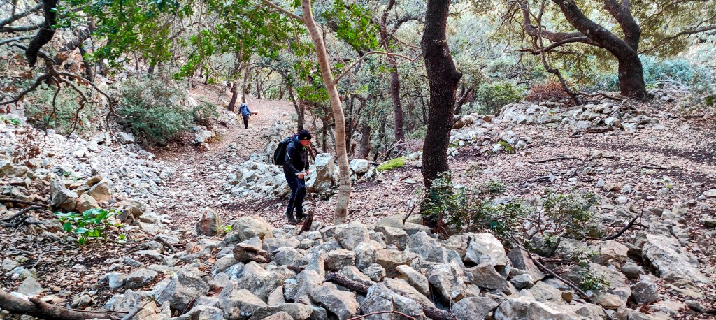 Sendero de bosque con rocas y vegetación, dos personas caminando por el camino.