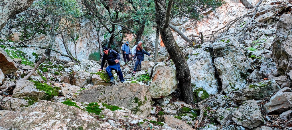 PUIG DELS BOIXOS por el Pas&nbsp;Nou
