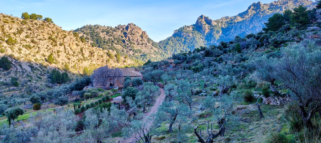 Vista panorámica de un valle montañoso con árboles de oliva y una casa rural en el centro, rodeada de montañas y vegetación.