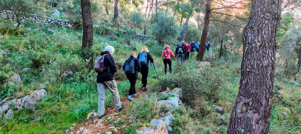 Grupo de personas caminando por un sendero en un bosque, rodeados de árboles y vegetación.