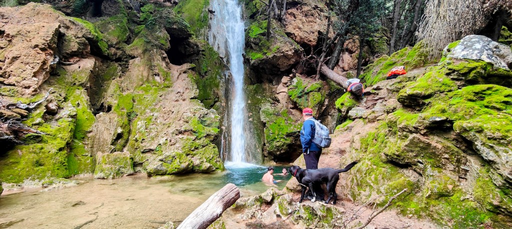 Una persona de pie junto a una cascada en un entorno natural, con una piscina de agua clara y un perro negro a su lado, mientras otra persona nada en el agua.