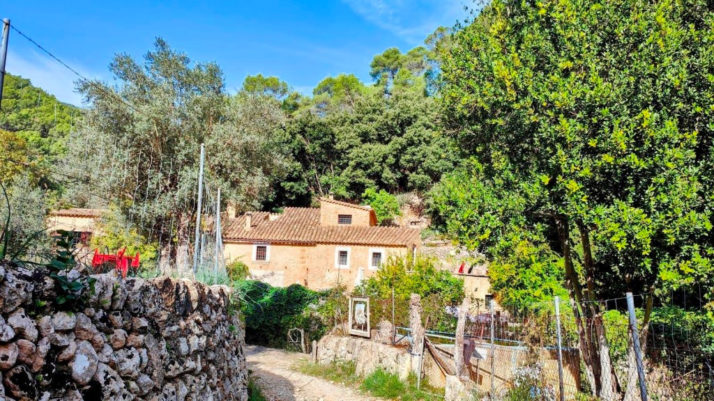 Camino que lleva a las casas de Son Roig rodeada de vegetación y árboles en un paisaje natural.