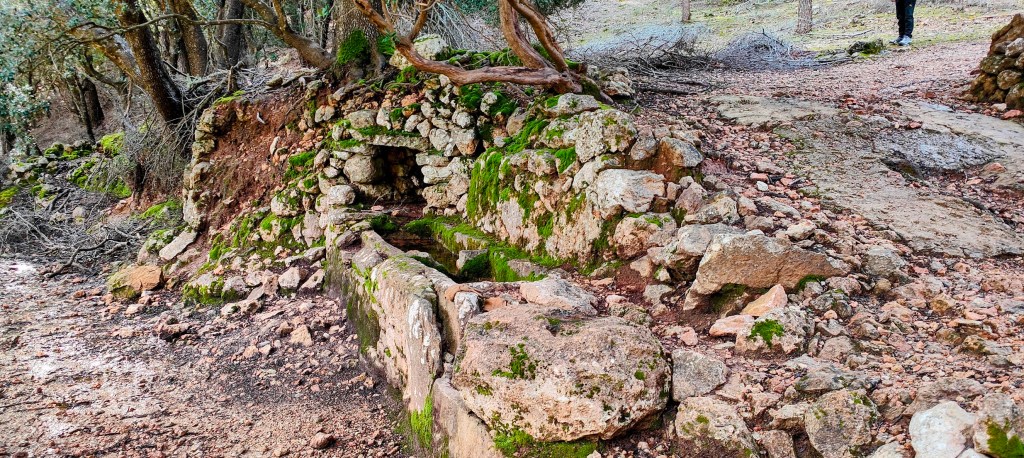 Restos de una fuente de piedra cubierta de musgo en un entorno natural, con árboles en el fondo.
