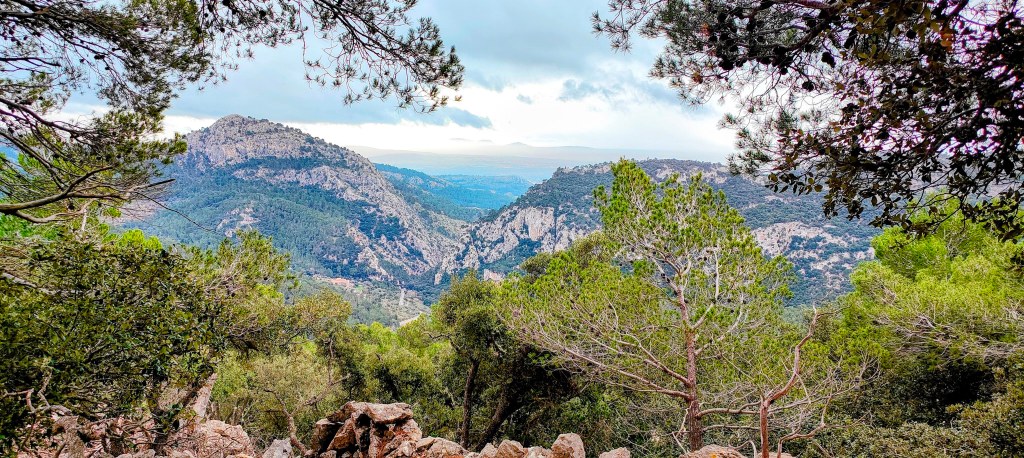 Vista panorámica de montañas con vegetación verde, rodeadas de árboles, bajo un cielo nublado.